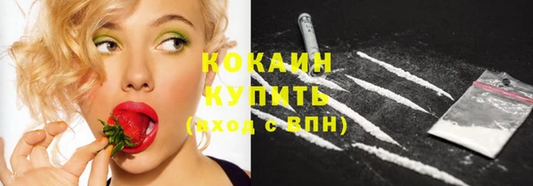 spice Алзамай